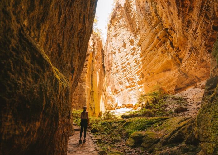 Carnarvon Gorge