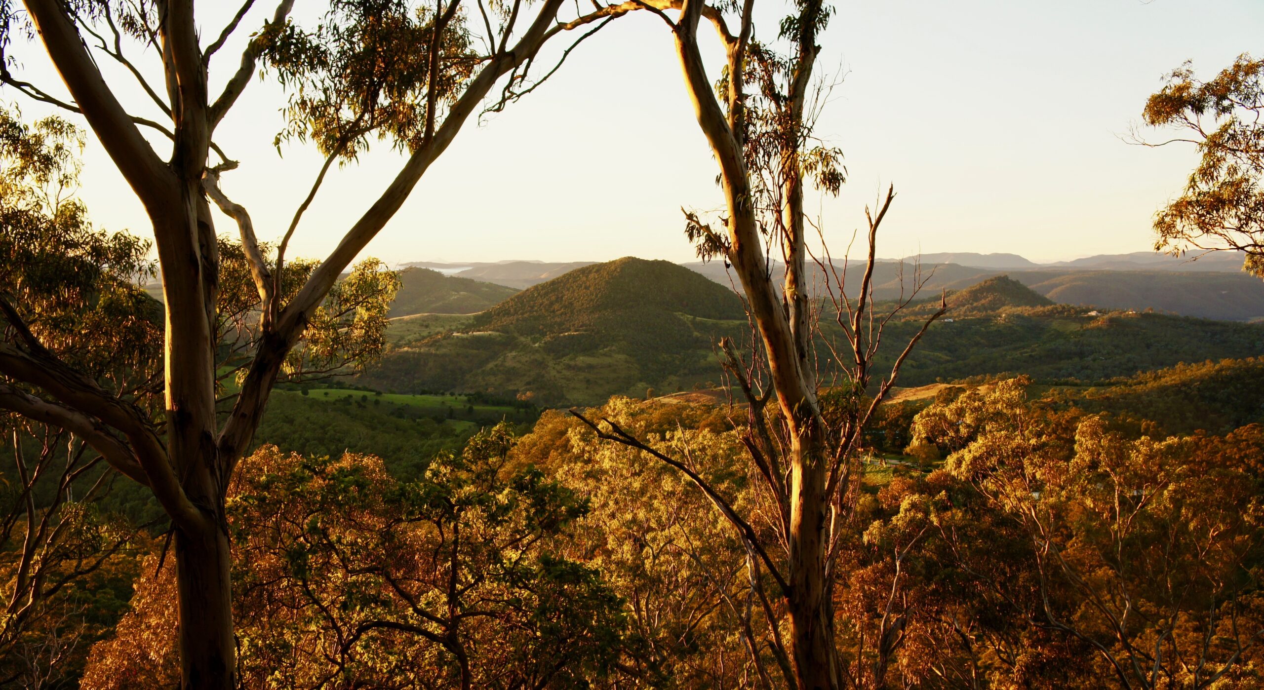 Table Top from Picnic Point