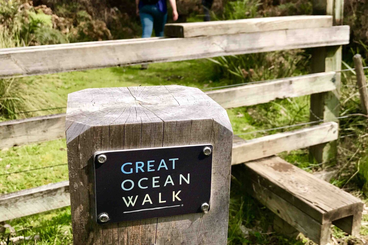 GOW Marker