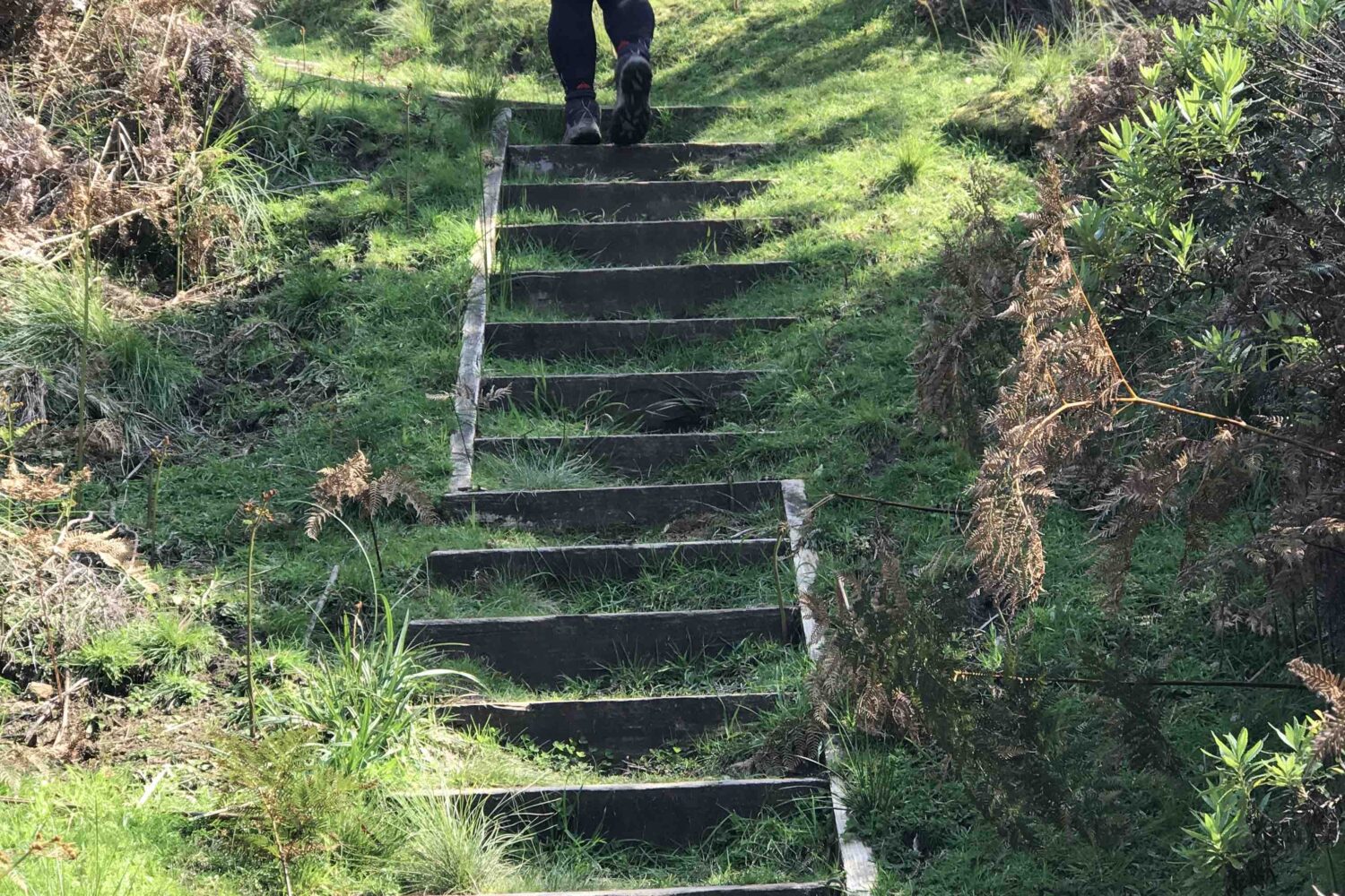 GOW Steps