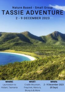 Tasmania Itinerary Image