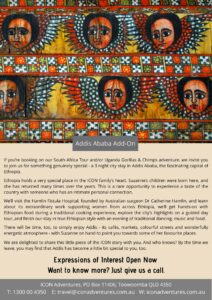 Addis Ababa Add on