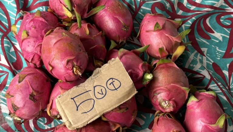 Dragon Fruit Vanuatu