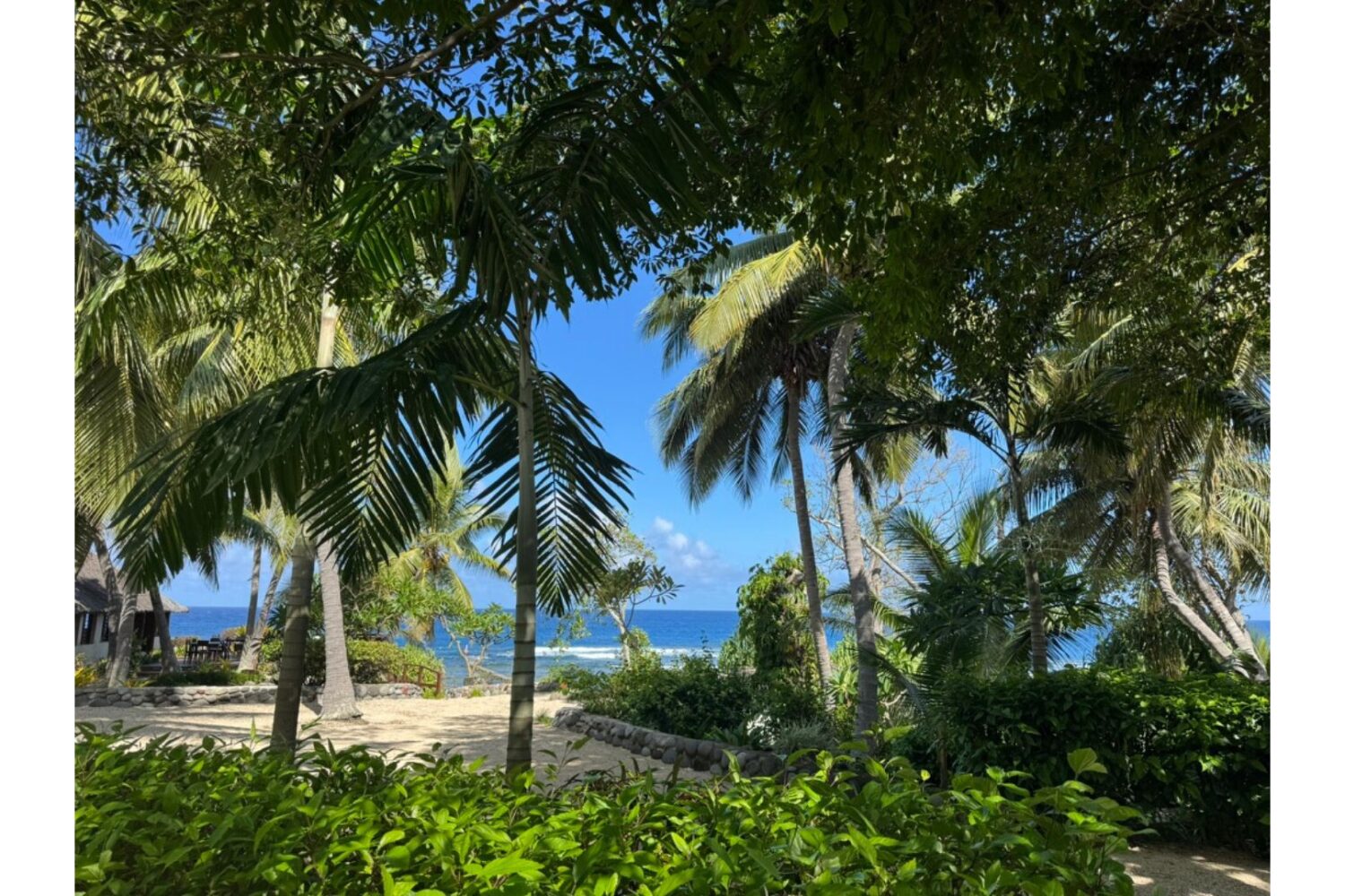 Tanna Island Vanuatu Image