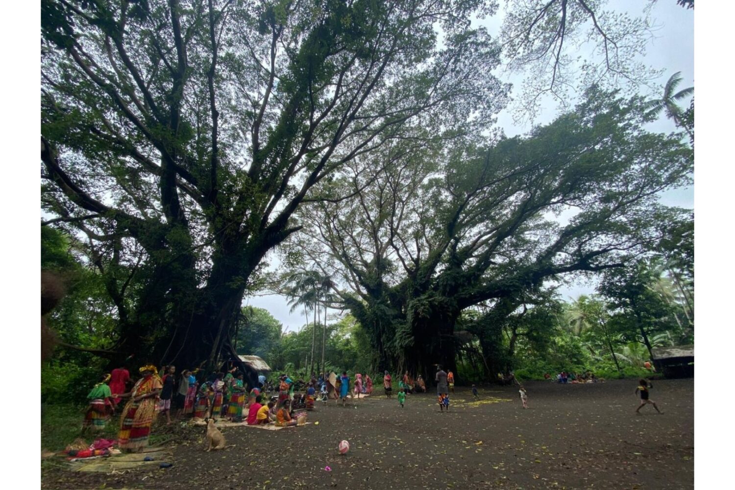 Tanna Island Vanuatu Image