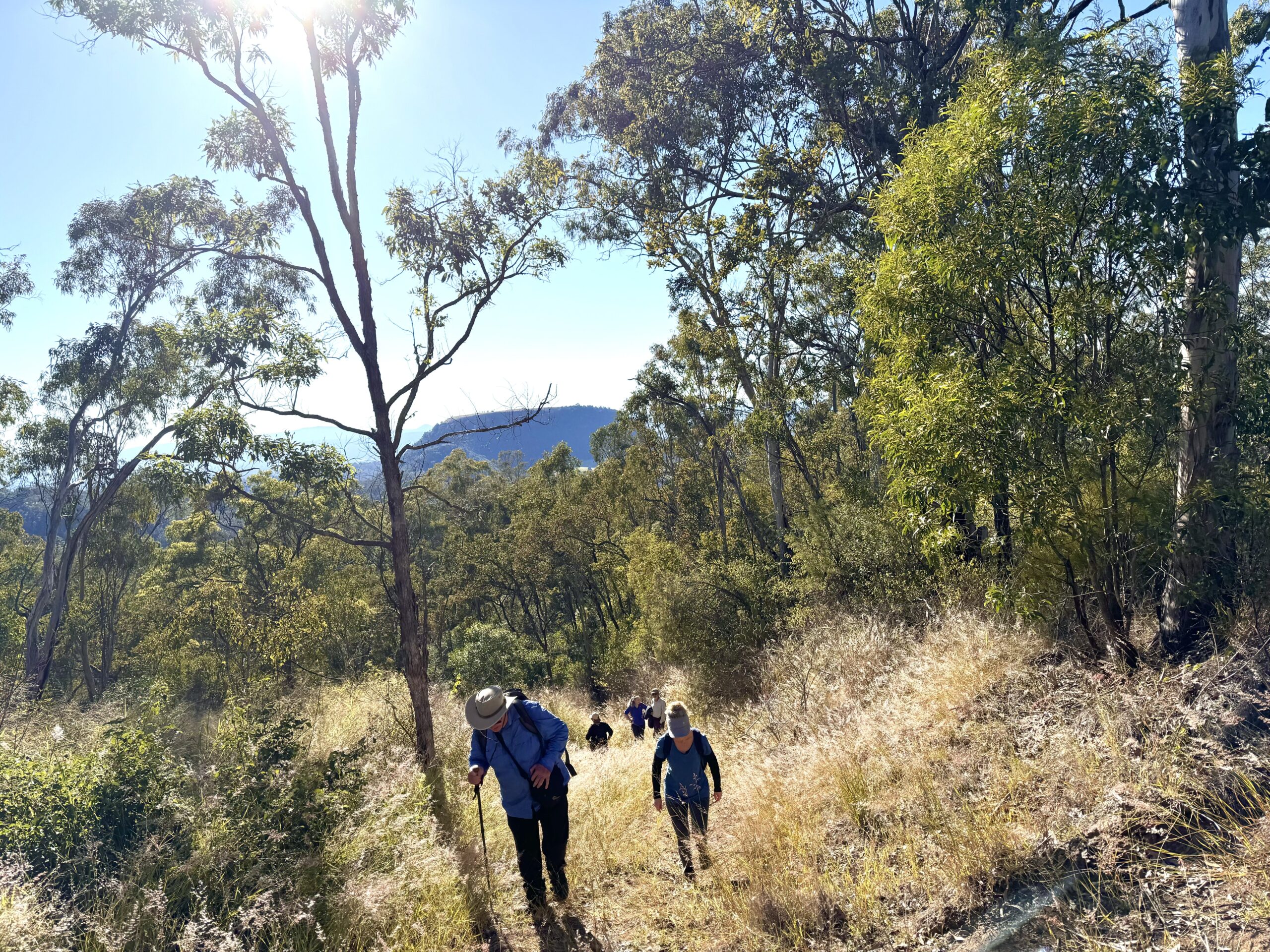 McNIGHT Hike Toowoomba