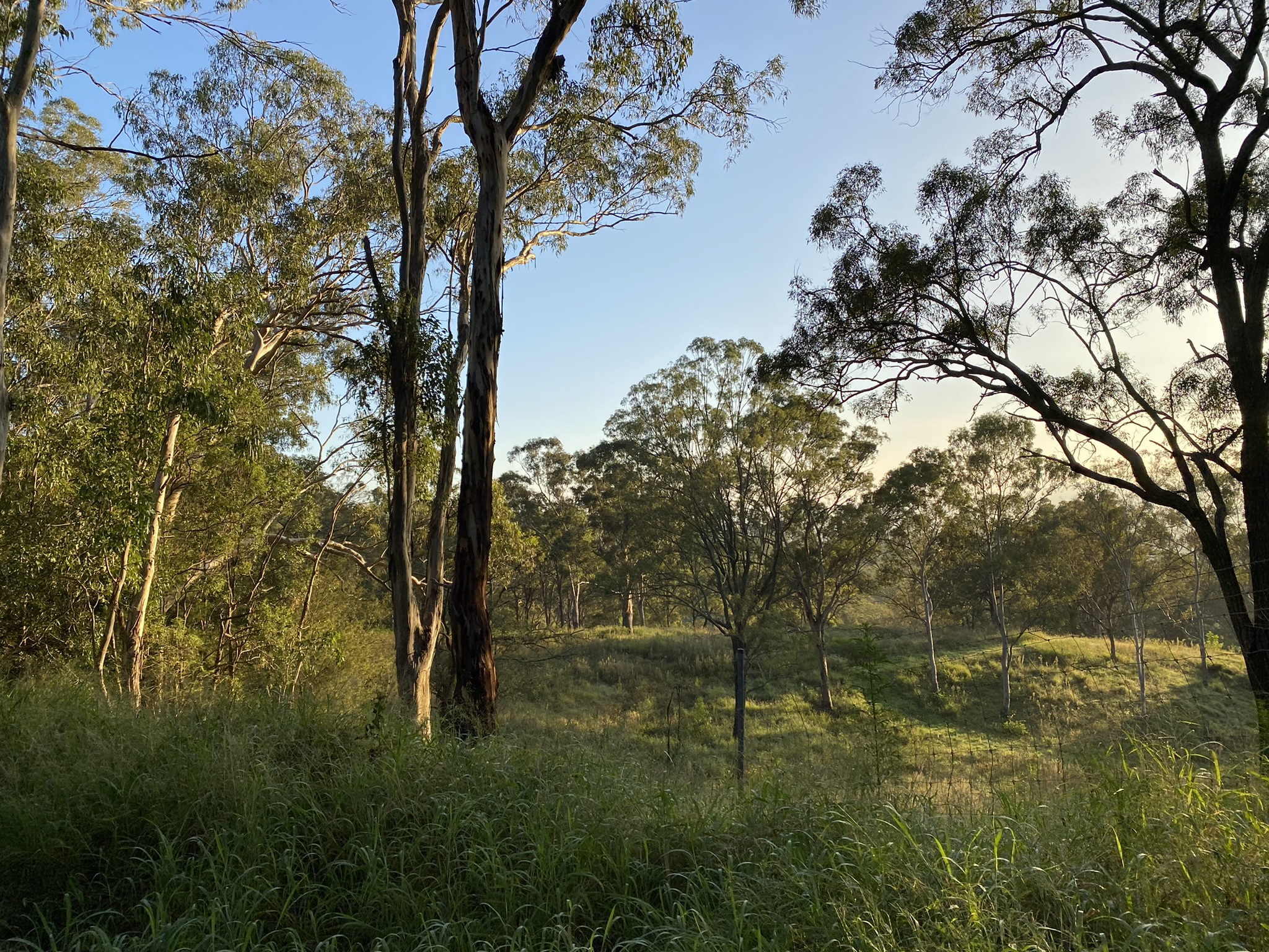 Table Top Road Reserve Trail