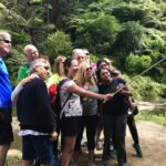 Travelling solo with strangers